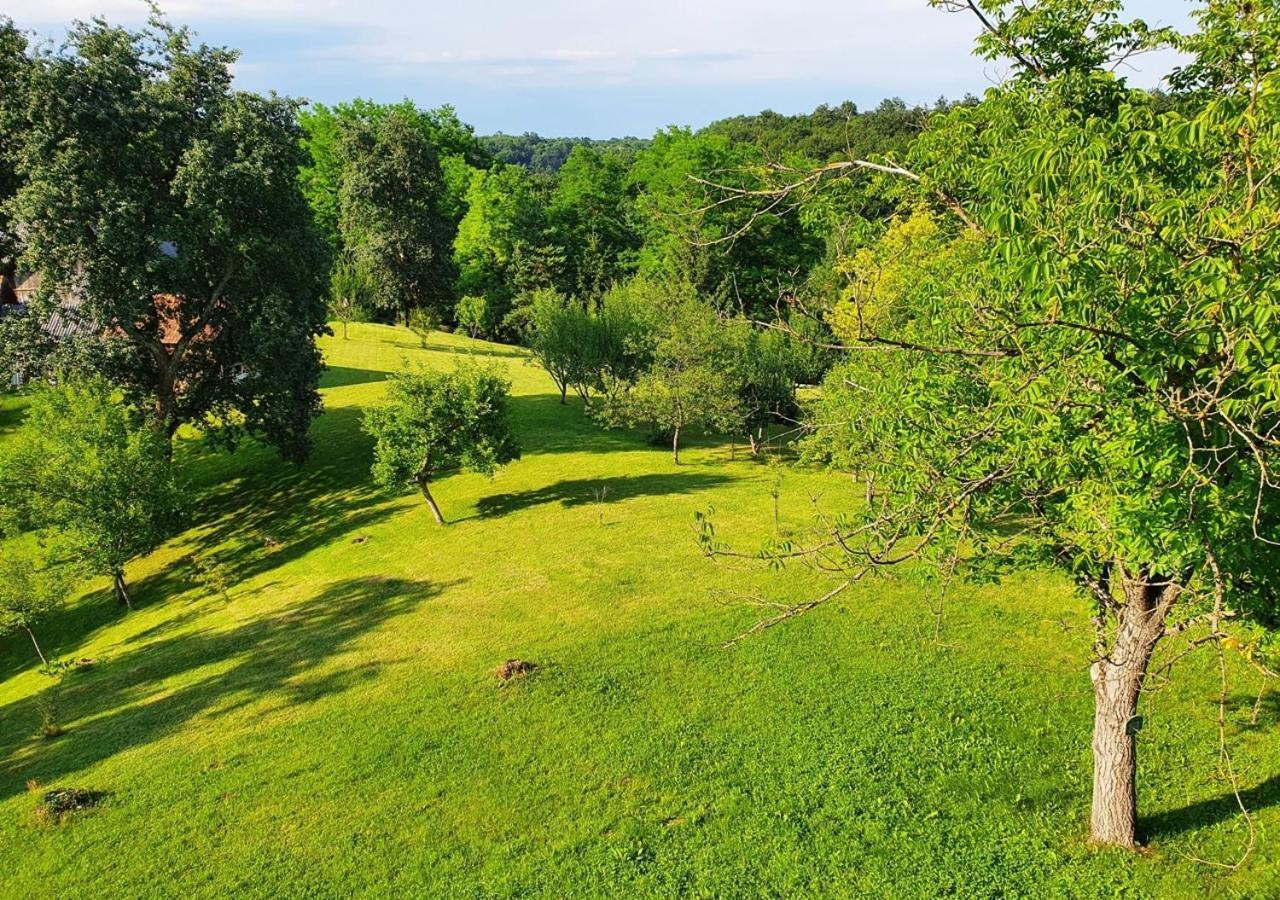 Green Eden Gornji Zvečaj Zewnętrze zdjęcie