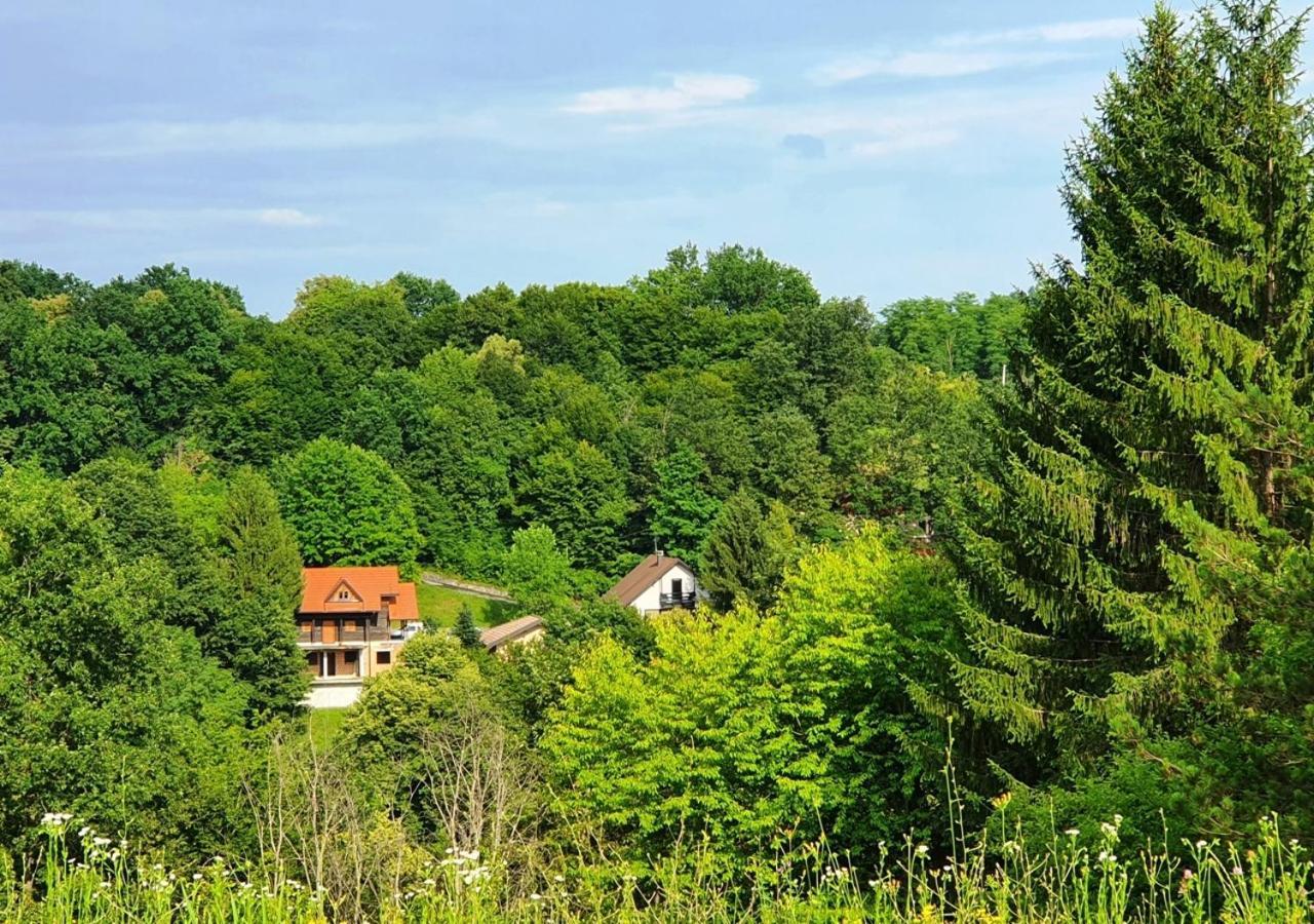 Green Eden Gornji Zvečaj Zewnętrze zdjęcie