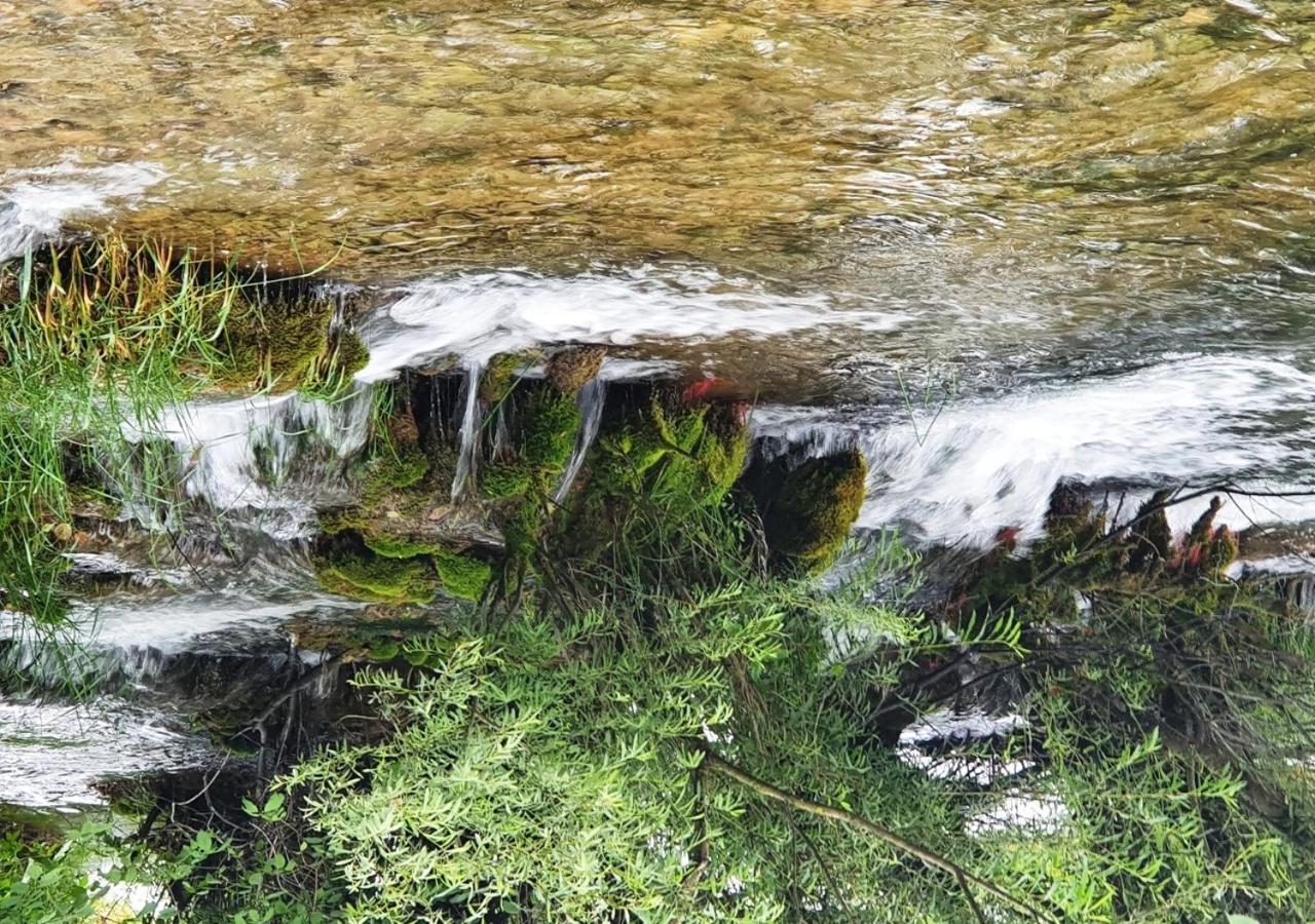 Green Eden Gornji Zvečaj Zewnętrze zdjęcie