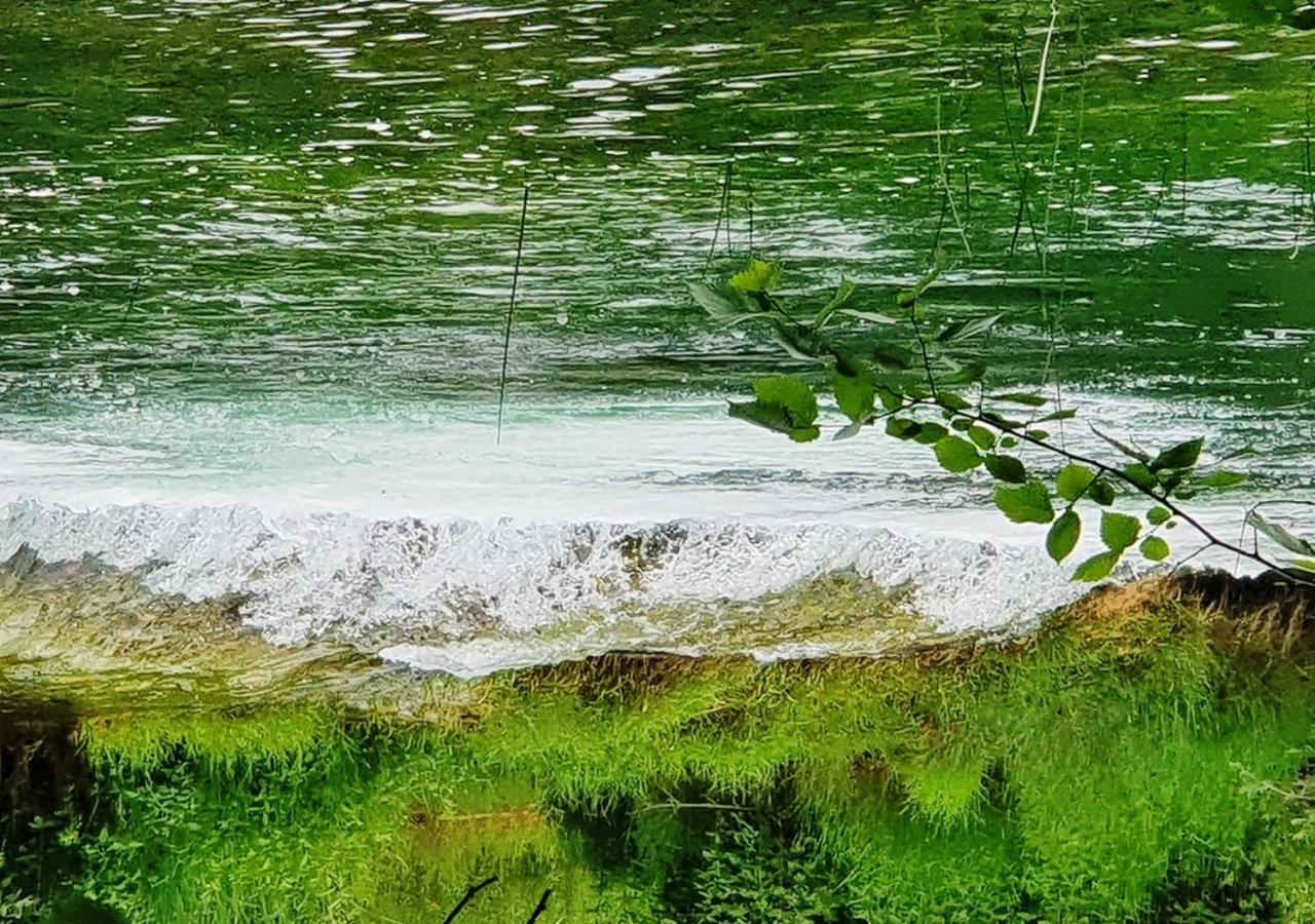Green Eden Gornji Zvečaj Zewnętrze zdjęcie