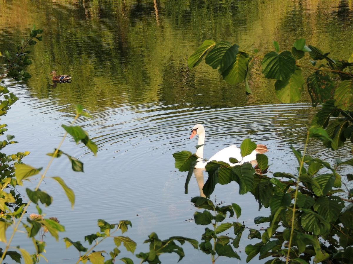 Green Eden Gornji Zvečaj Zewnętrze zdjęcie