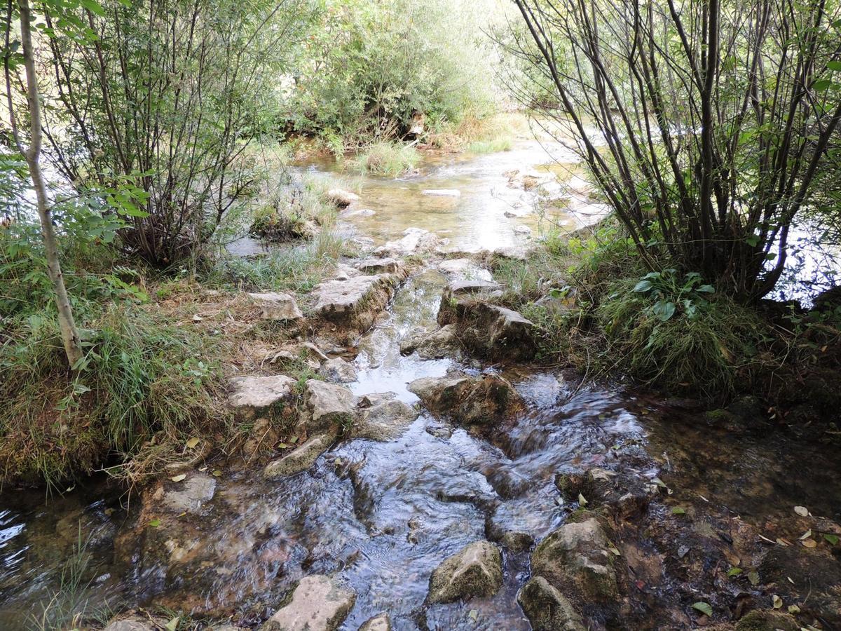 Green Eden Gornji Zvečaj Zewnętrze zdjęcie